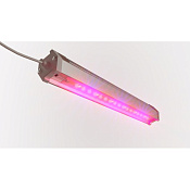 Изображение Фитосветильник универсальный SKE A-PROM-32G2FRL Fito